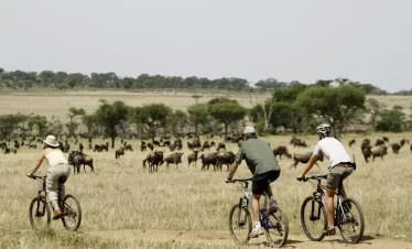 Cycling Safari | Experiences | Wild Safari Guide