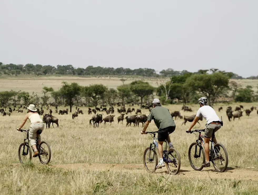 Cycling Safari | Experiences | Wild Safari Guide