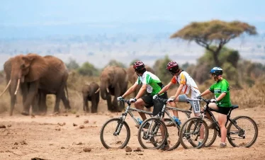 Kids Friendly Safaris in Uganda at Affordable Luxury Price