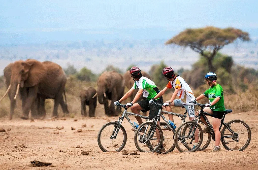 Kids Friendly Safaris in Uganda at Affordable Luxury Price