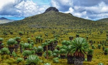 RURIMERIA MOORLAND CHALLENGE