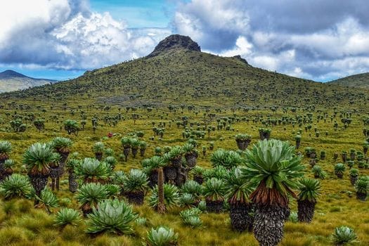 RURIMERIA MOORLAND CHALLENGE