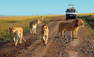 Tsavo East National Park - 4x4 Self Drive & Guided Tours